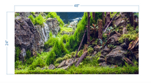 Load image into Gallery viewer, Aquarium Background Planted Aquarium Forest - vinyl graphic adhesive AQ0046
