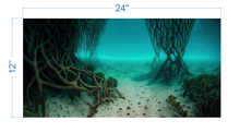 Load image into Gallery viewer, Aquarium Background Underwater Roots &amp; Sand - vinyl graphic adhesive AQ0035
