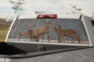 Truck Decal Back Window - Deer in the Forest - perforated vinyl TBW038