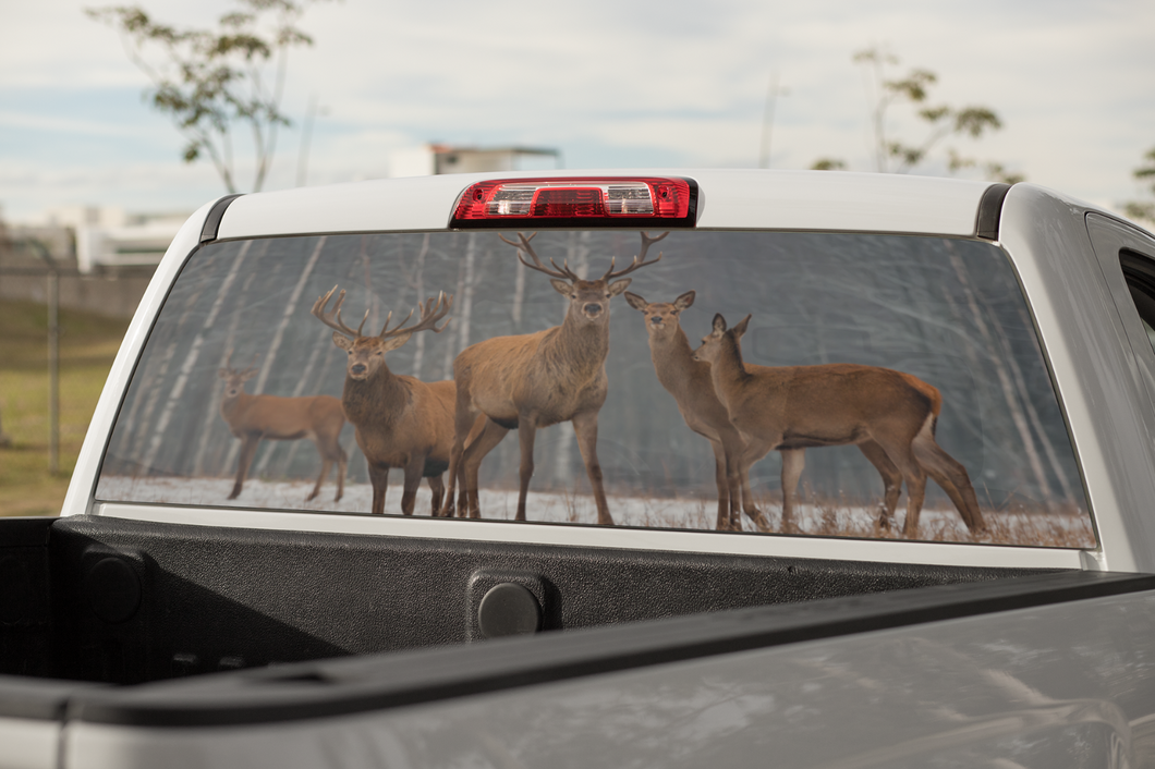 Truck Decal Back Window - Deer in the Forest - perforated vinyl TBW038