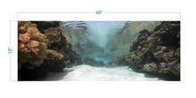 Load image into Gallery viewer, Aquarium Background Coral in the Ocean - vinyl graphic adhesive AQ0059

