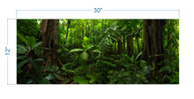 Load image into Gallery viewer, Terrarium Background Tropical Forest - vinyl graphic adhesive TR0004
