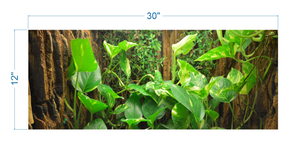 Terrarium Background Tropical Biotope - vinyl graphic adhesive TR0012