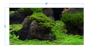 Aquarium Background Planted Aquarium Tropical 5 - vinyl graphic adhesive AQ0050
