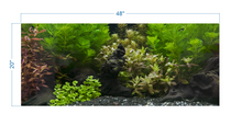 Load image into Gallery viewer, Aquarium Background Planted Aquarium Tropical 6 - vinyl graphic adhesive AQ0048
