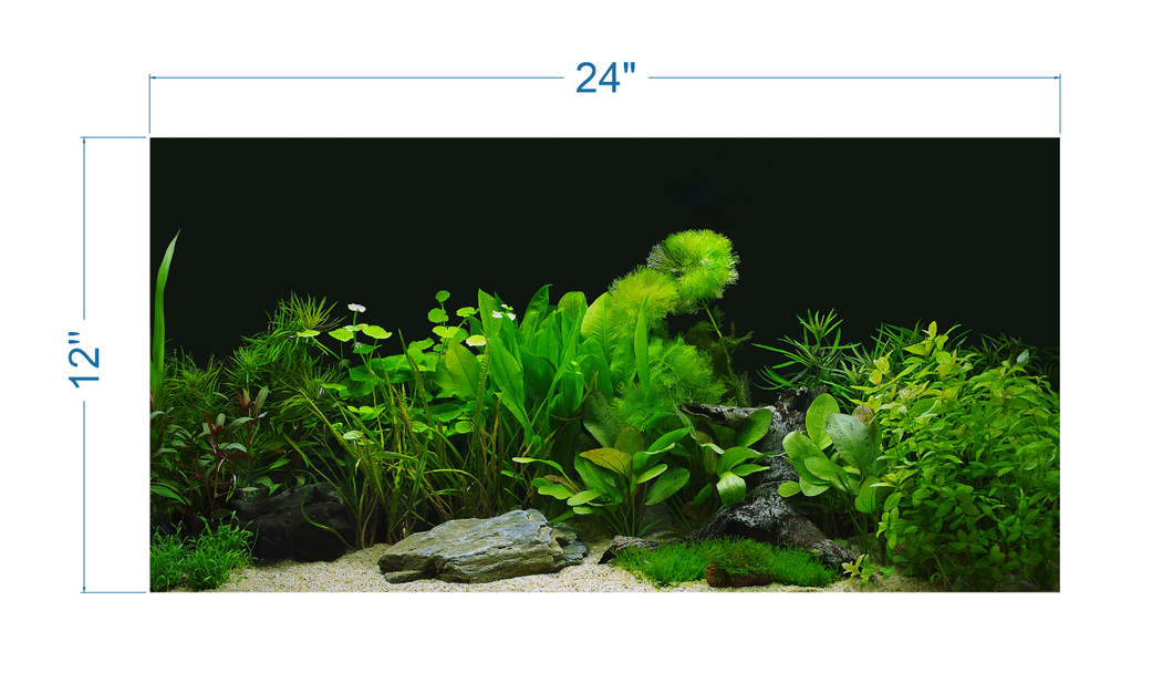 Plant Aquarium Tropical Background - vinyl graphic adhesive AQ0060