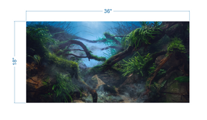 Aquarium Background Mystical Tropical Jungle - vinyl graphic adhesive AQ0053