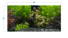 Load image into Gallery viewer, Aquarium Background Planted Aquarium Tropical 6 - vinyl graphic adhesive AQ0048
