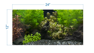 Aquarium Background Planted Aquarium Tropical 6 - vinyl graphic adhesive AQ0048