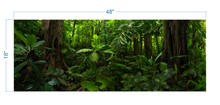 Load image into Gallery viewer, Terrarium Background Tropical Forest - vinyl graphic adhesive TR0004
