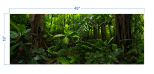 Terrarium Background Tropical Forest - vinyl graphic adhesive TR0004
