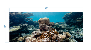 Aquarium Background Coral - vinyl graphic adhesive AQ0058