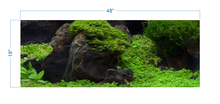 Load image into Gallery viewer, Aquarium Background Planted Aquarium Tropical 5 - vinyl graphic adhesive AQ0050
