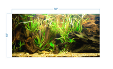 Load image into Gallery viewer, Tropical Aquarium Background - vinyl graphic adhesive AQ0057
