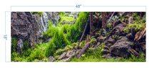 Load image into Gallery viewer, Aquarium Background Planted Aquarium Forest - vinyl graphic adhesive AQ0046
