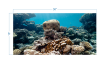 Load image into Gallery viewer, Aquarium Background Coral - vinyl graphic adhesive AQ0058
