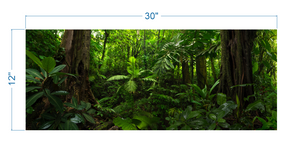 Terrarium Background Tropical Forest - vinyl graphic adhesive TR0004
