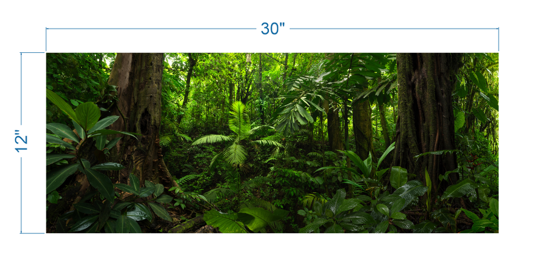 Terrarium Background Tropical Forest - vinyl graphic adhesive TR0004