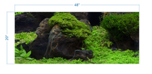 Load image into Gallery viewer, Aquarium Background Planted Aquarium Tropical 5 - vinyl graphic adhesive AQ0050
