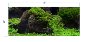Aquarium Background Planted Aquarium Tropical 5 - vinyl graphic adhesive AQ0050