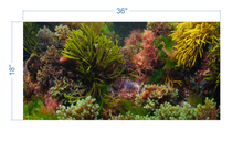 Load image into Gallery viewer, Aquarium Background Seaweeds Underwater - vinyl graphic adhesive AQ0054
