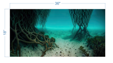Load image into Gallery viewer, Aquarium Background Underwater Roots &amp; Sand - vinyl graphic adhesive AQ0035
