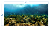 Load image into Gallery viewer, Aquarium Background Underwater Rocks - vinyl graphic adhesive AQ0031
