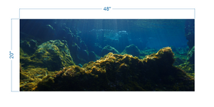 Aquarium Background Underwater Ocean - vinyl graphic adhesive AQ0047