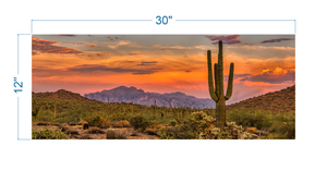Terrarium Background Sunset Desert - vinyl graphic adhesive TR0010
