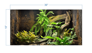 Terrarium Background Tropical Environment 2 - vinyl graphic adhesive TR0006