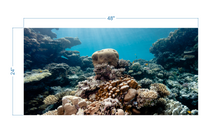 Load image into Gallery viewer, Aquarium Background Coral - vinyl graphic adhesive AQ0058

