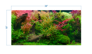 Aquarium Background Tropical Jungle - vinyl graphic adhesive AQ0052
