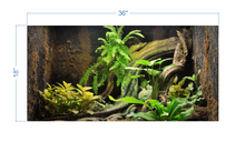Load image into Gallery viewer, Terrarium Background Tropical Environment 2 - vinyl graphic adhesive TR0006
