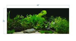 Plant Aquarium Tropical Background - vinyl graphic adhesive AQ0060