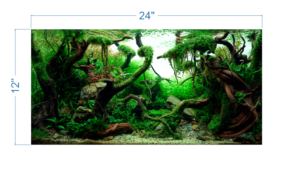 Aquarium Background Tropical Aquascape - vinyl graphic adhesive AQ0036