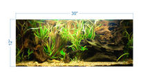 Load image into Gallery viewer, Tropical Aquarium Background - vinyl graphic adhesive AQ0057
