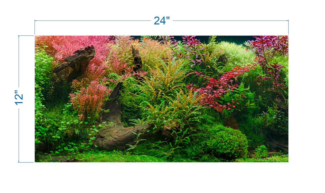 Aquarium Background Tropical Jungle - vinyl graphic adhesive AQ0052