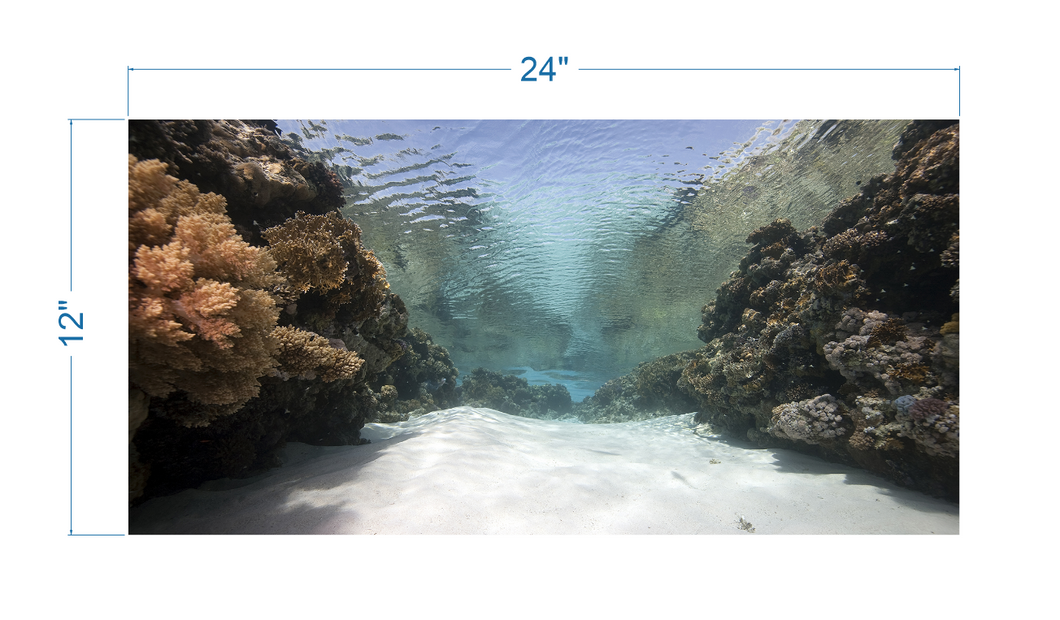 Aquarium Background Coral in the Ocean - vinyl graphic adhesive AQ0059