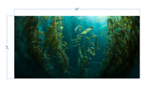 Load image into Gallery viewer, Aquarium Background Kelp Forest - vinyl graphic adhesive AQ0051
