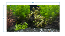 Load image into Gallery viewer, Aquarium Background Planted Aquarium Tropical 6 - vinyl graphic adhesive AQ0048
