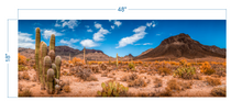 Load image into Gallery viewer, Terrarium Background Desert Landscape v2 - vinyl graphic adhesive TR0003
