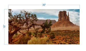 Terrarium Background Desert Landscape - vinyl graphic adhesive TR0001