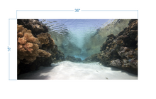 Load image into Gallery viewer, Aquarium Background Coral in the Ocean - vinyl graphic adhesive AQ0059
