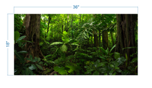 Load image into Gallery viewer, Terrarium Background Tropical Forest - vinyl graphic adhesive TR0004
