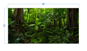 Terrarium Background Tropical Forest - vinyl graphic adhesive TR0004