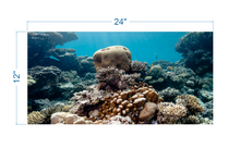 Load image into Gallery viewer, Aquarium Background Coral - vinyl graphic adhesive AQ0058
