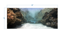 Load image into Gallery viewer, Aquarium Background Coral in the Ocean - vinyl graphic adhesive AQ0059
