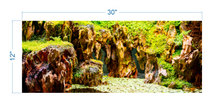 Load image into Gallery viewer, Terrarium Background Stones and Plants - vinyl graphic adhesive TR0007
