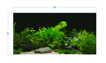 Load image into Gallery viewer, Plant Aquarium Tropical Background - vinyl graphic adhesive AQ0060
