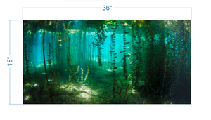 Aquarium Background River Plants Underwater - vinyl graphic adhesive AQ0044